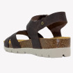náhled 355891 PLAKTON