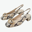 náhled HV 253993 Snake Hispanitas