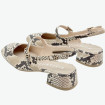 náhled HV 253818 Snake Hispanitas