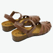 náhled 775929 Camel Plakton