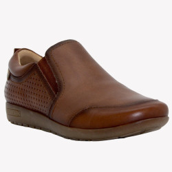 W67-3709 PIKOLINOS