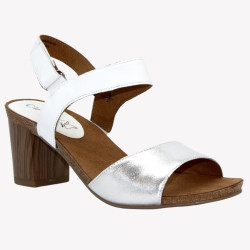 9/9-28318/24 CAPRICE