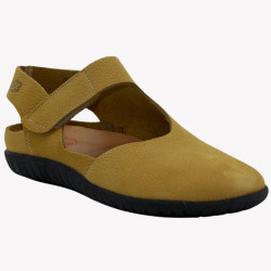 BIZELINGE LOINTS