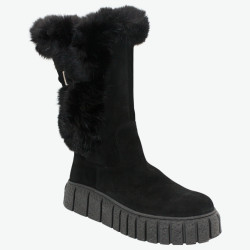 P5-1569-001 Pollonus