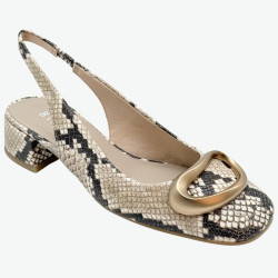 HV 253993 Snake Hispanitas