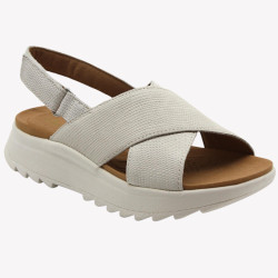 DASHLITE WISH Clarks
