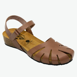 775929 Camel Plakton