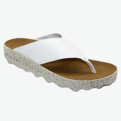 CAMI L B Asportuguesas