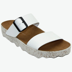 COLY L Asportuguesas