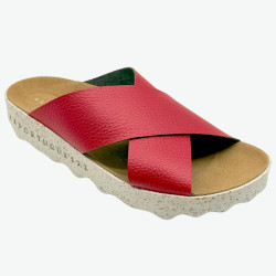 CROSS L -ČRV Asportuguesas