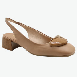 RHV264744 HISPANITAS