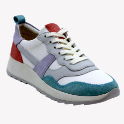 DASHLITE JAZZ CLARKS