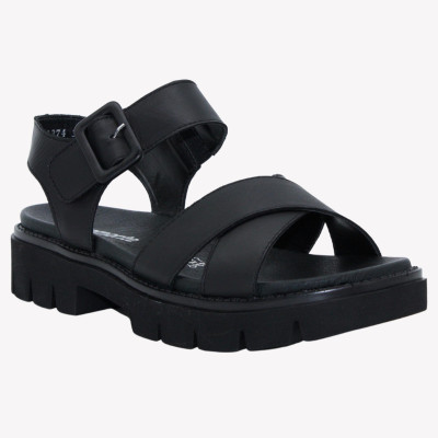 D7950-00 Remonte