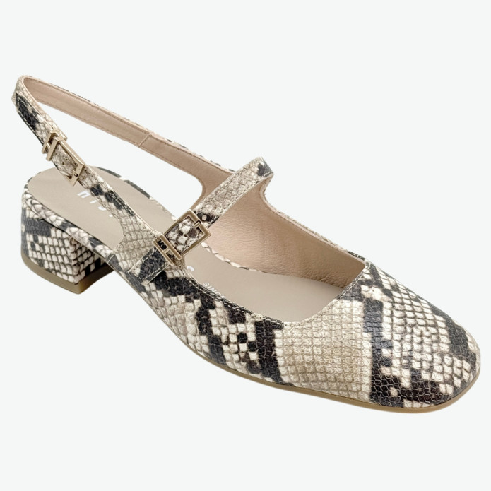 detail HV 253818 Snake Hispanitas