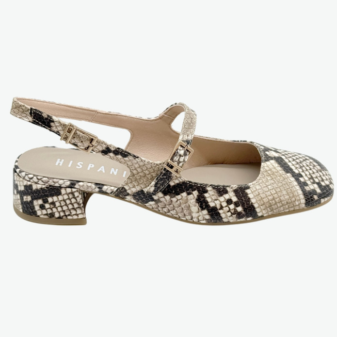 detail HV 253818 Snake Hispanitas