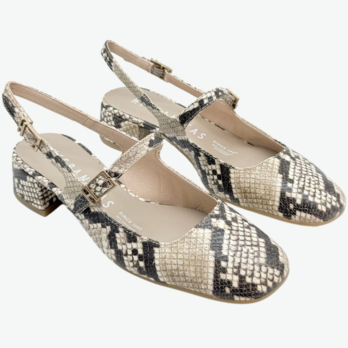 detail HV 253818 Snake Hispanitas