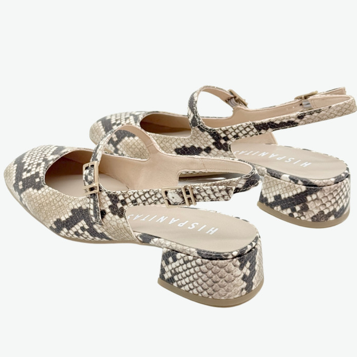 detail HV 253818 Snake Hispanitas