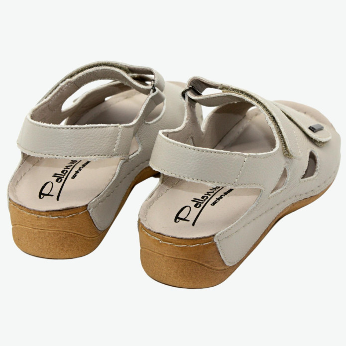 detail 5-0994-101 Pollonus