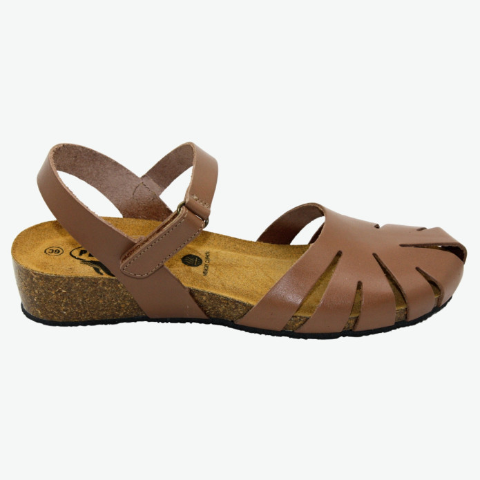detail 775929 Camel Plakton