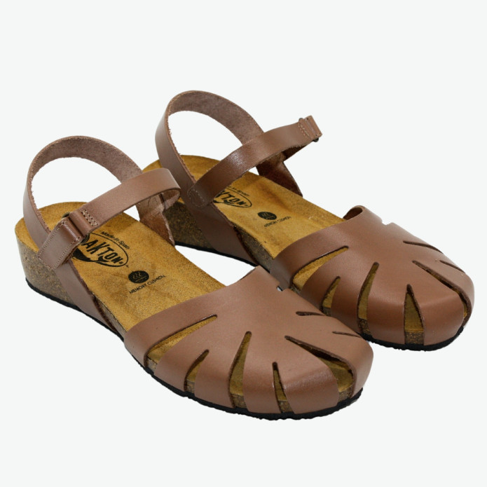 detail 775929 Camel Plakton