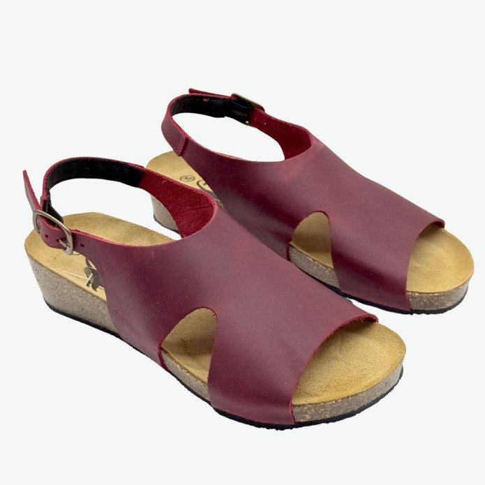 detail 413033 ČRV Plakton