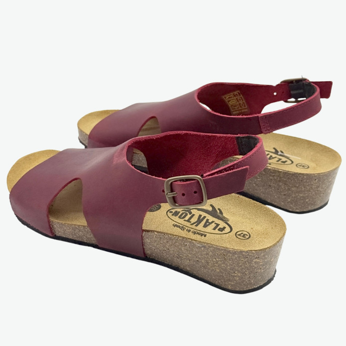 detail 413033 ČRV Plakton