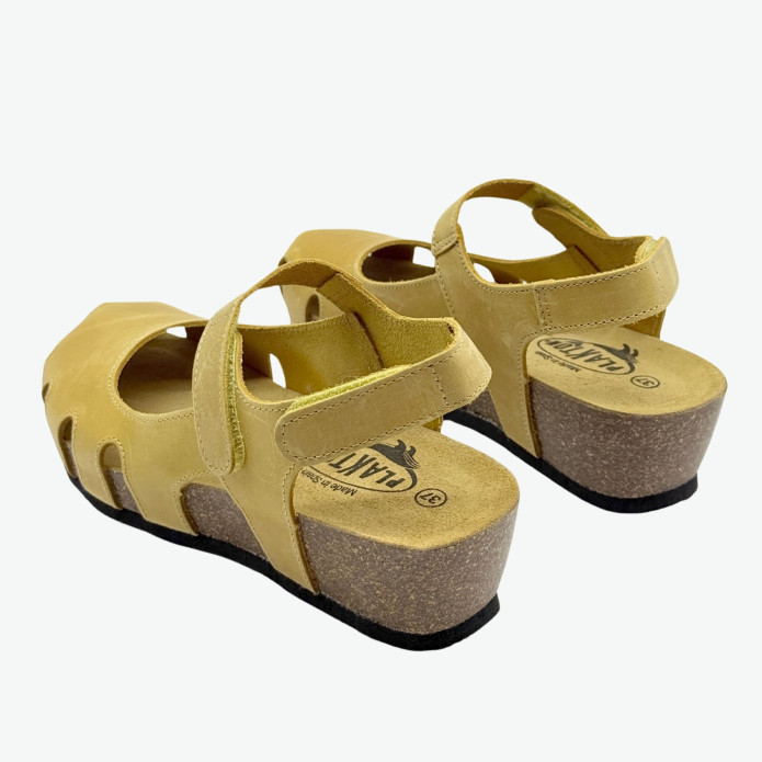 detail 826140 Ž Plakton