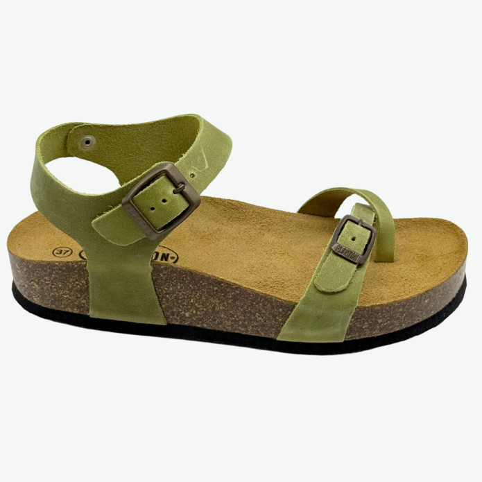 detail 341016 Z Plakton