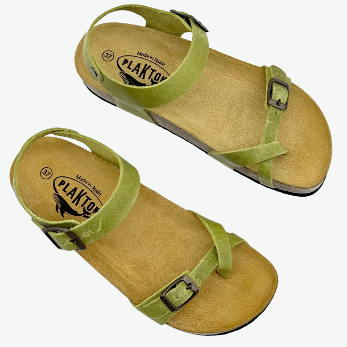 detail 341016 Z Plakton