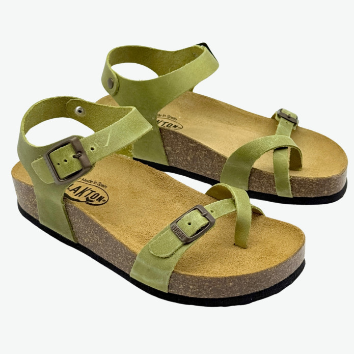 detail 341016 Z Plakton