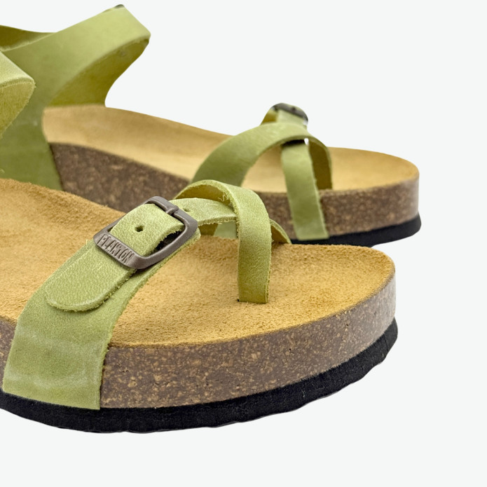 detail 341016 Z Plakton