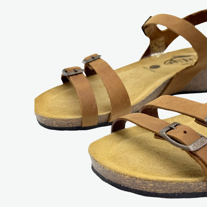 detail 775920 H Plakton