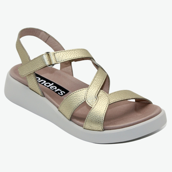 detail C-6541 Z Wonders