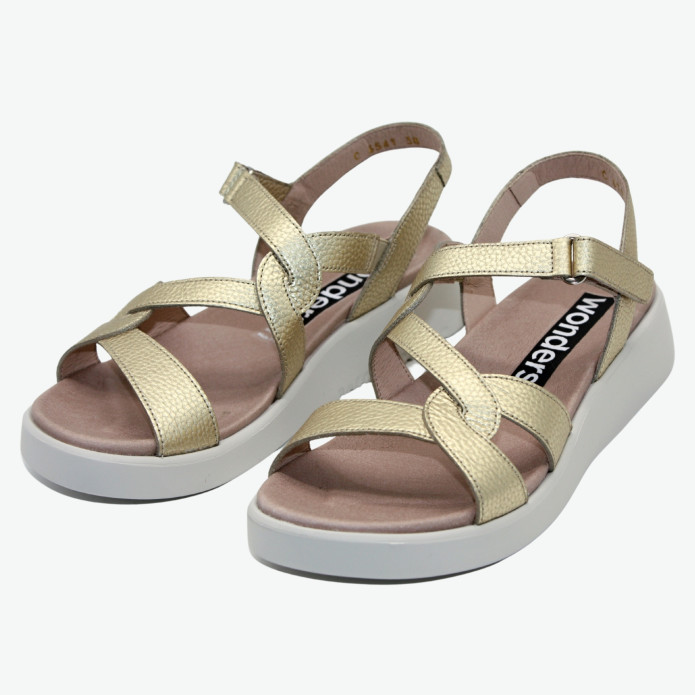 detail C-6541 Z Wonders