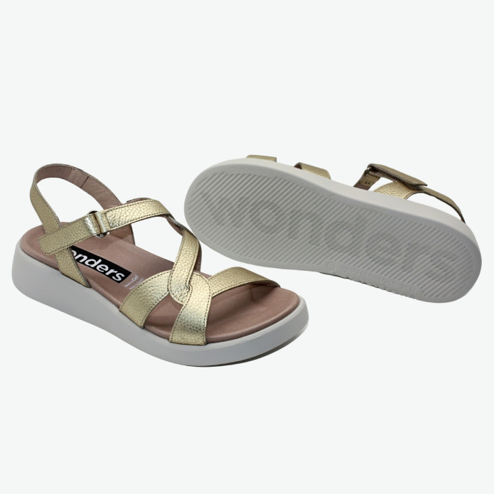 detail C-6541 Z Wonders