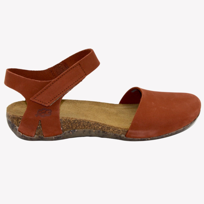 detail 314130263 Loints