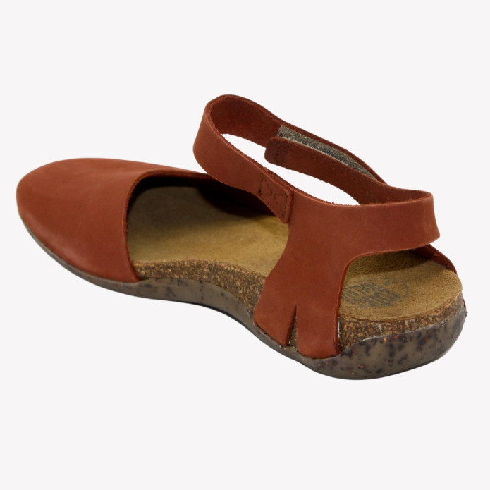 detail 314130263 Loints