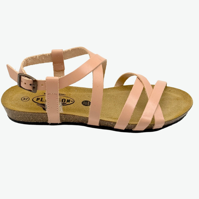 detail 405184 R Plakton