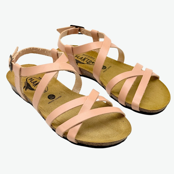 detail 405184 R Plakton