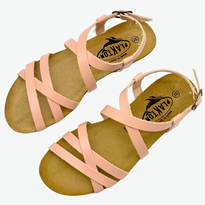 detail 405184 R Plakton