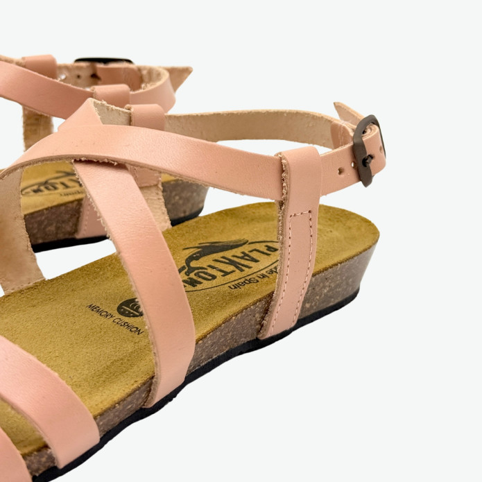 detail 405184 R Plakton