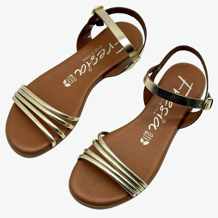 detail 466 Z Fresia